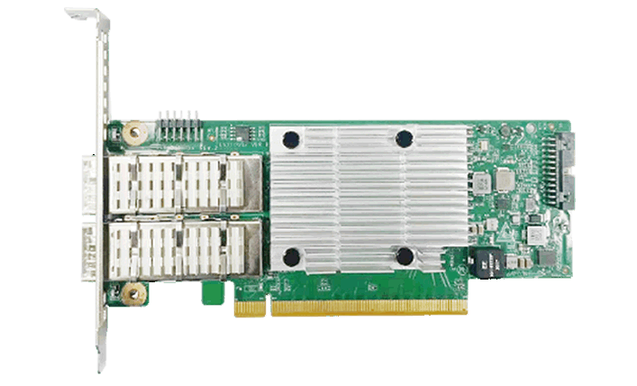 N3194-2Q-X1 100G 2 Optical E810