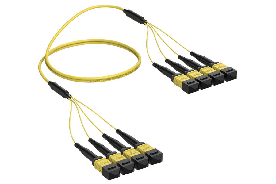 MTP12-MTP12 Trunk Fiber Cable OS2